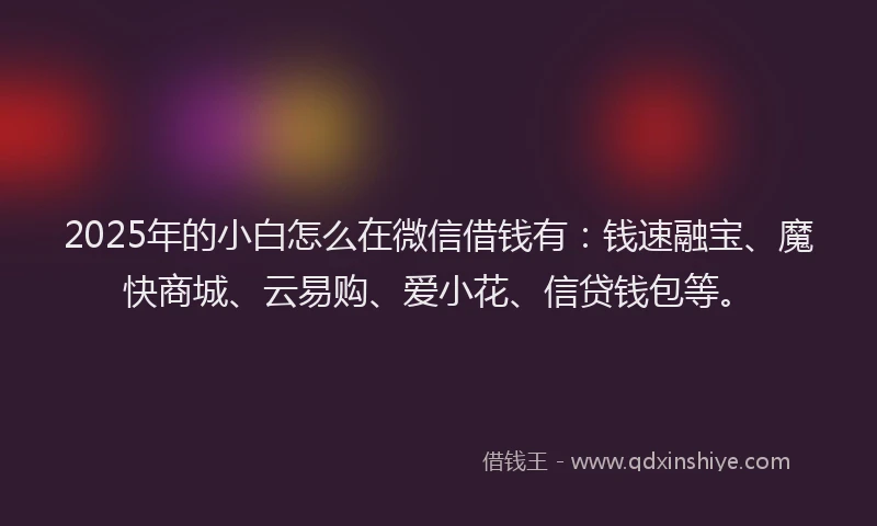 2025年的小白怎么在微信借钱有：钱速融宝、魔快商城、云易购、爱小花、信贷钱包等。