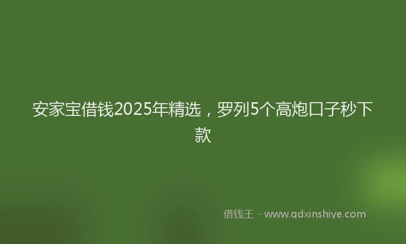 安家宝借钱2025年精选，罗列5个高炮口子秒下款