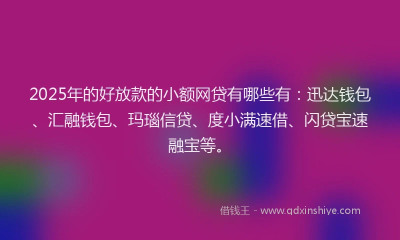 2025年的好放款的小额网贷有哪些有：迅达钱包、汇融钱包、玛瑙信贷、度小满速借、闪贷宝速融宝等。