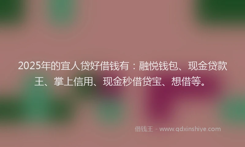 2025年的宜人贷好借钱有：融悦钱包、现金贷款王、掌上信用、现金秒借贷宝、想借等。