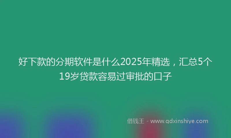 好下款的分期软件是什么2025年精选，汇总5个19岁贷款容易过审批的口子