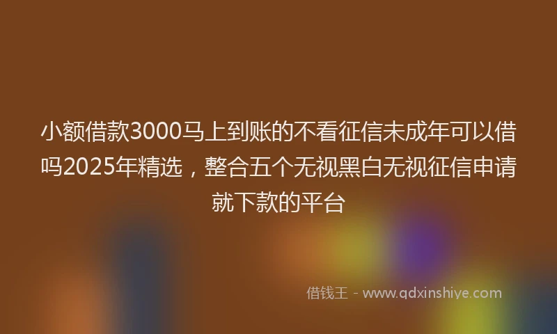 小额借款3000马上到账的不看征信未成年可以借吗2025年精选，整合五个无视黑白无视征信申请就下款的平台
