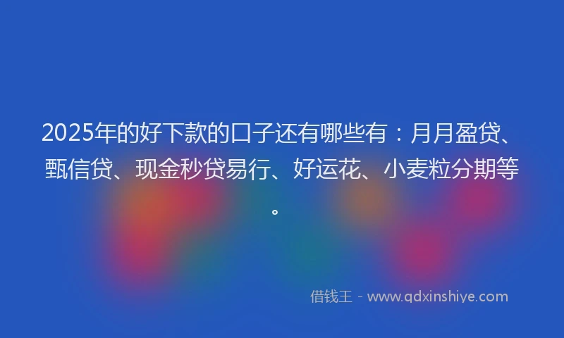 2025年的好下款的口子还有哪些有：月月盈贷、甄信贷、现金秒贷易行、好运花、小麦粒分期等。