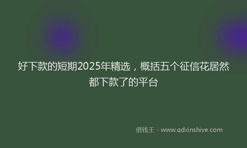 好下款的短期2025年精选，概括五个征信花居然都下款了的平台