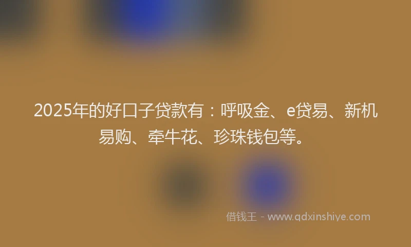 2025年的好口子贷款有：呼吸金、e贷易、新机易购、牵牛花、珍珠钱包等。
