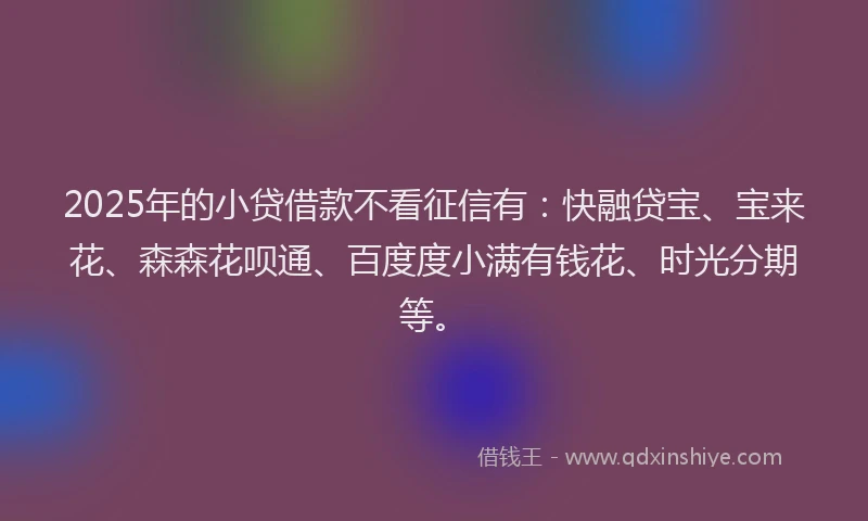 2025年的小贷借款不看征信有：快融贷宝、宝来花、森森花呗通、百度度小满有钱花、时光分期等。