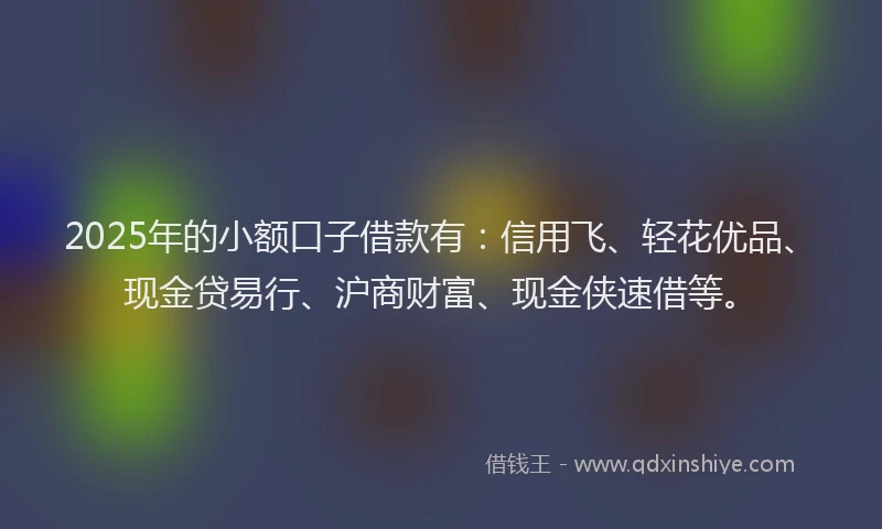 2025年的小额口子借款有：信用飞、轻花优品、现金贷易行、沪商财富、现金侠速借等。
