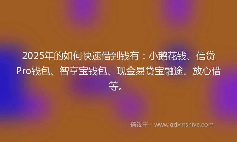 2025年的如何快速借到钱有：小鹅花钱、信贷Pro钱包、智享宝钱包、现金易贷宝融途、放心借等。