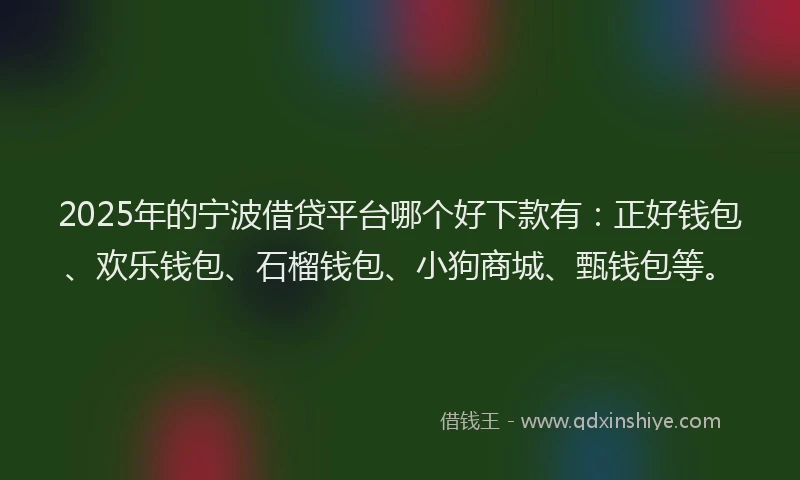 2025年的宁波借贷平台哪个好下款有：正好钱包、欢乐钱包、石榴钱包、小狗商城、甄钱包等。