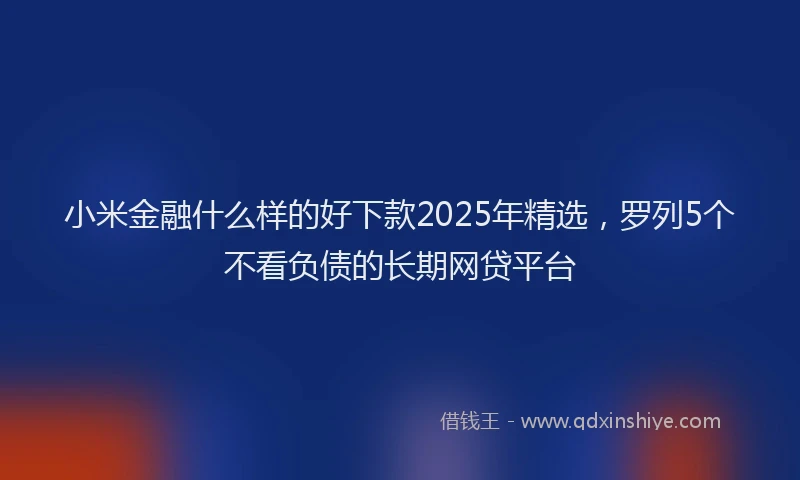 小米金融什么样的好下款2025年精选，罗列5个不看负债的长期网贷平台
