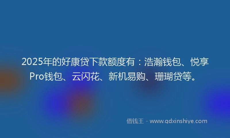 2025年的好康贷下款额度有：浩瀚钱包、悦享Pro钱包、云闪花、新机易购、珊瑚贷等。