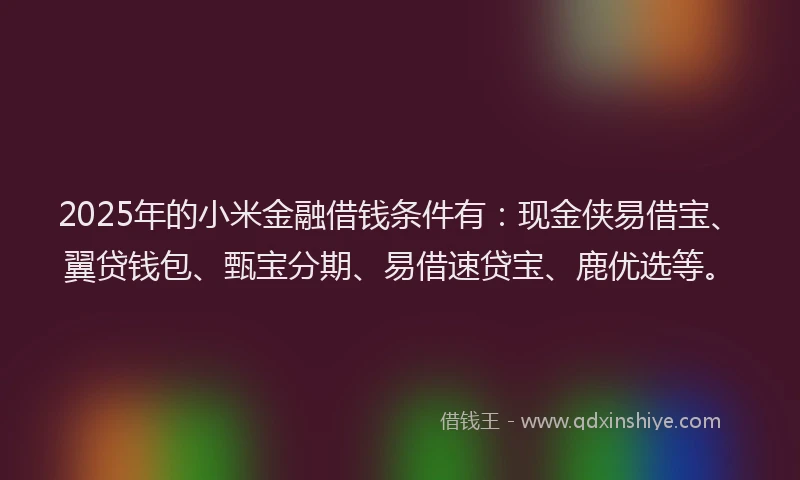 2025年的小米金融借钱条件有：现金侠易借宝、翼贷钱包、甄宝分期、易借速贷宝、鹿优选等。