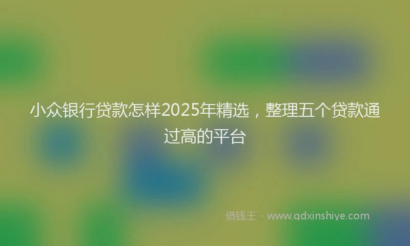 小众银行贷款怎样2025年精选，整理五个贷款通过高的平台