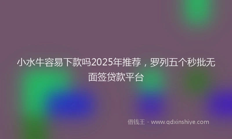 小水牛容易下款吗2025年推荐，罗列五个秒批无面签贷款平台