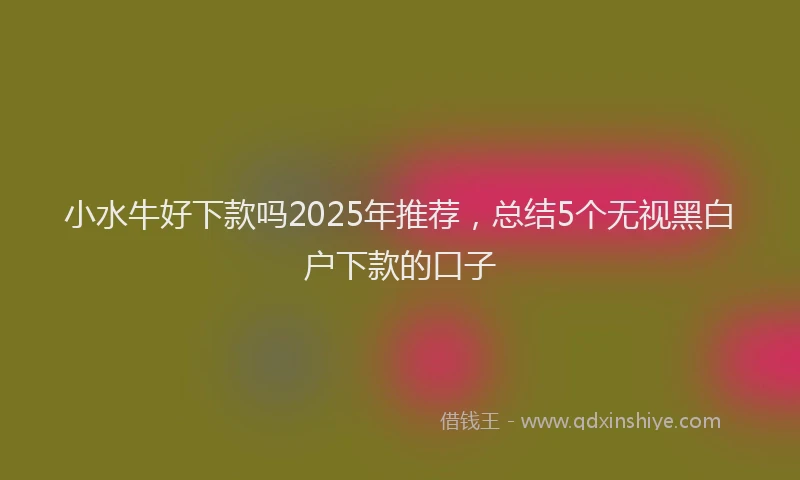 小水牛好下款吗2025年推荐，总结5个无视黑白户下款的口子