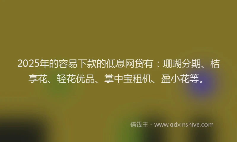 2025年的容易下款的低息网贷有：珊瑚分期、桔享花、轻花优品、掌中宝租机、盈小花等。