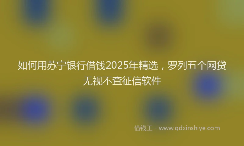 如何用苏宁银行借钱2025年精选，罗列五个网贷无视不查征信软件