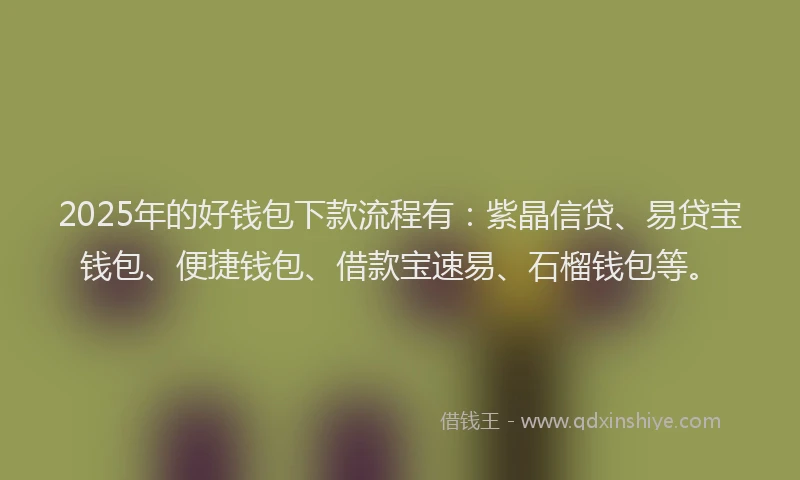 2025年的好钱包下款流程有：紫晶信贷、易贷宝钱包、便捷钱包、借款宝速易、石榴钱包等。