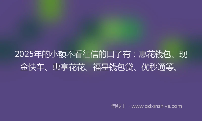 2025年的小额不看征信的口子有：惠花钱包、现金快车、惠享花花、福星钱包贷、优秒通等。
