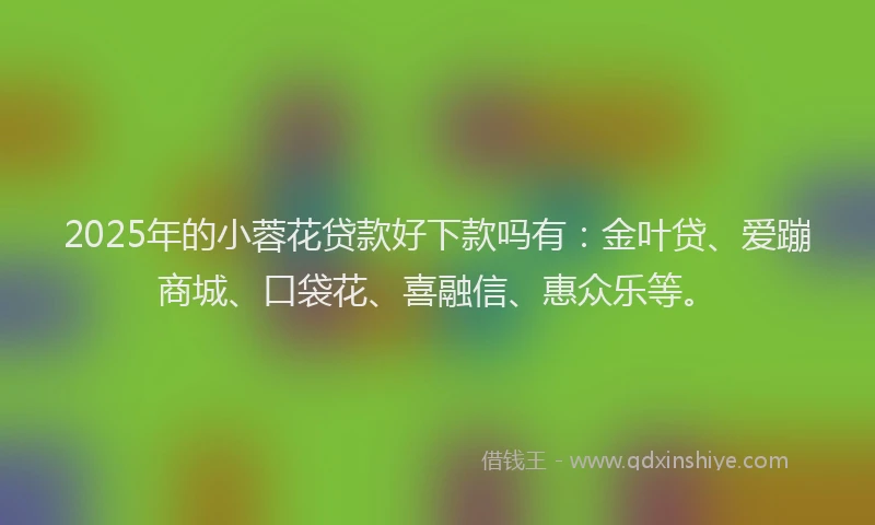 2025年的小蓉花贷款好下款吗有：金叶贷、爱蹦商城、口袋花、喜融信、惠众乐等。