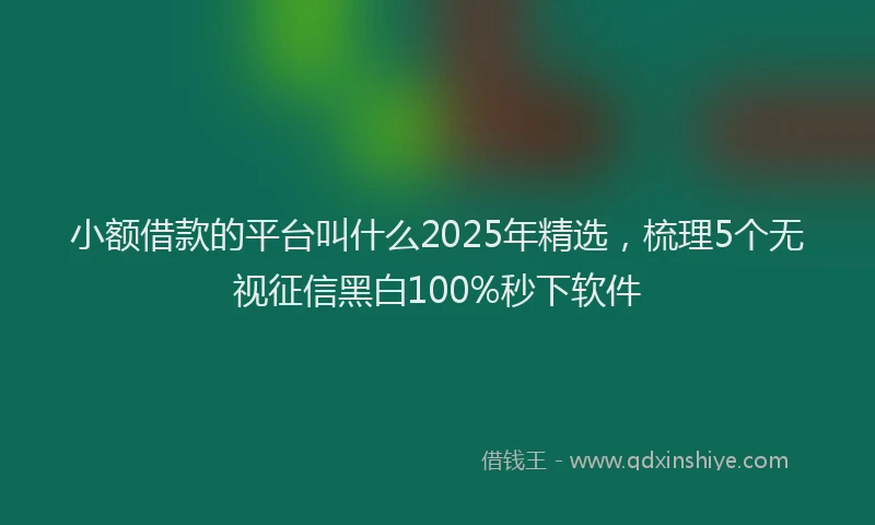 小额借款的平台叫什么2025年精选，梳理5个无视征信黑白100%秒下软件