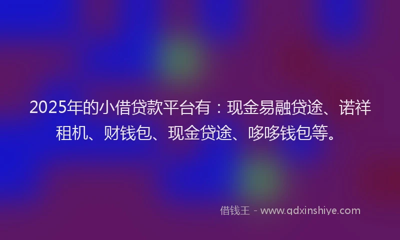 2025年的小借贷款平台有：现金易融贷途、诺祥租机、财钱包、现金贷途、哆哆钱包等。