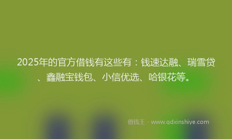 2025年的官方借钱有这些有：钱速达融、瑞雪贷、鑫融宝钱包、小信优选、哈银花等。