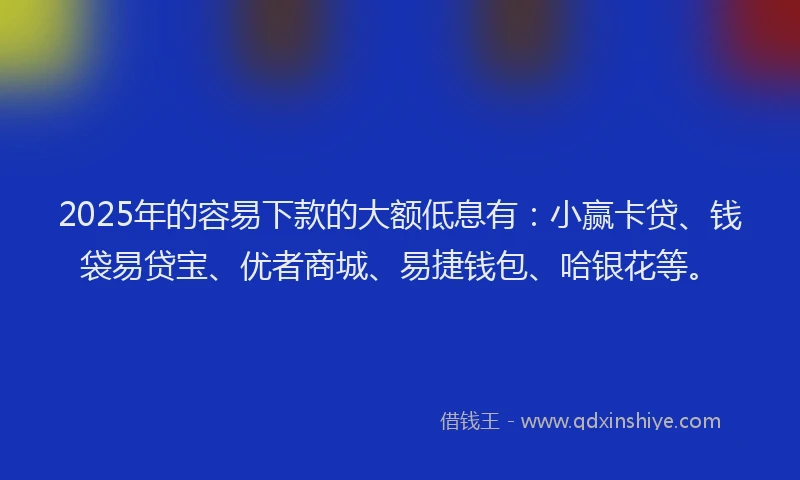 2025年的容易下款的大额低息有：小赢卡贷、钱袋易贷宝、优者商城、易捷钱包、哈银花等。