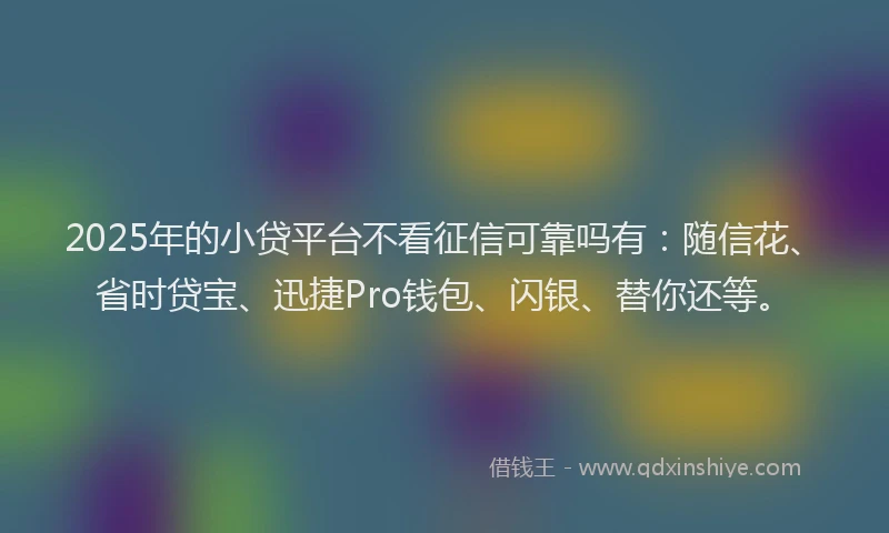 2025年的小贷平台不看征信可靠吗有：随信花、省时贷宝、迅捷Pro钱包、闪银、替你还等。