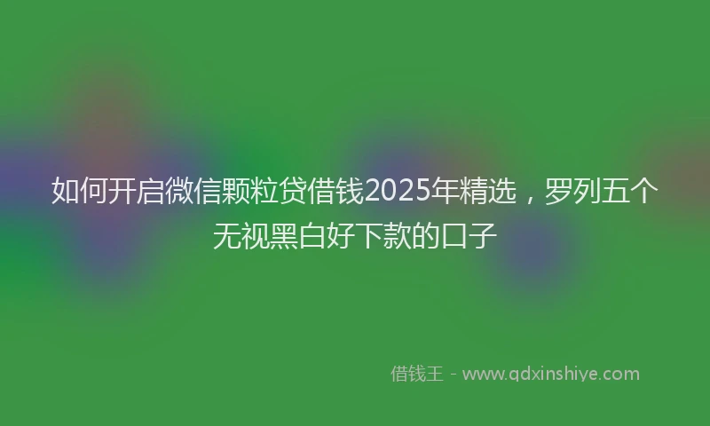 如何开启微信颗粒贷借钱2025年精选，罗列五个无视黑白好下款的口子