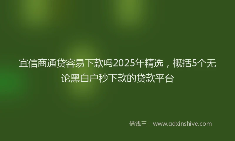宜信商通贷容易下款吗2025年精选，概括5个无论黑白户秒下款的贷款平台