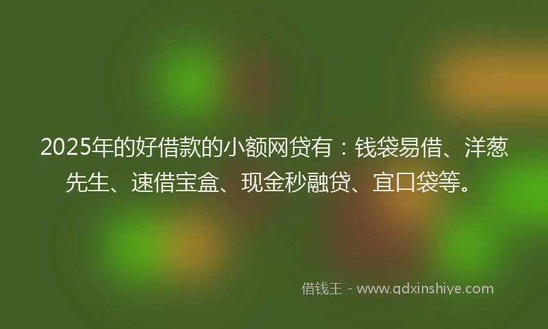 2025年的好借款的小额网贷有：钱袋易借、洋葱先生、速借宝盒、现金秒融贷、宜口袋等。