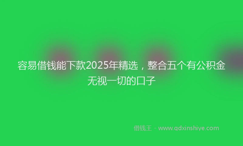 容易借钱能下款2025年精选，整合五个有公积金无视一切的口子