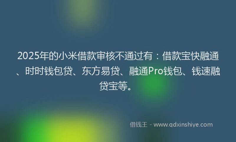 2025年的小米借款审核不通过有：借款宝快融通、时时钱包贷、东方易贷、融通Pro钱包、钱速融贷宝等。