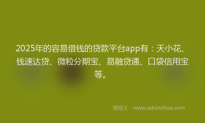 2025年的容易借钱的贷款平台app有：天小花、钱速达贷、微粒分期宝、易融贷通、口袋信用宝等。