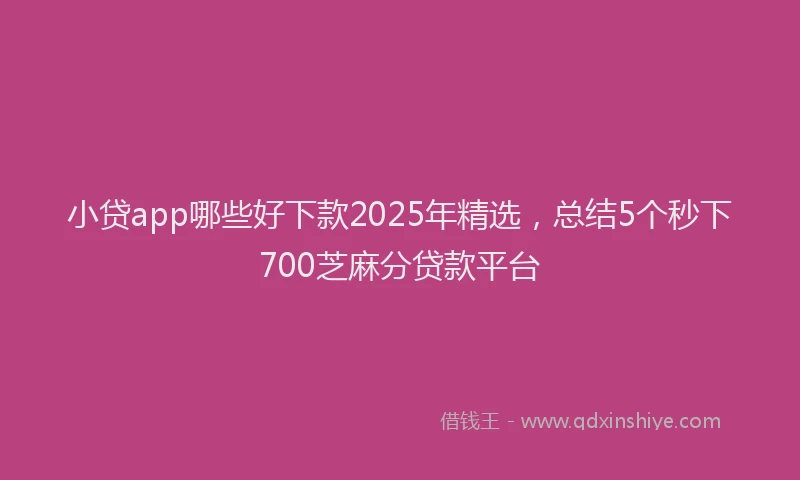 小贷app哪些好下款2025年精选，总结5个秒下700芝麻分贷款平台