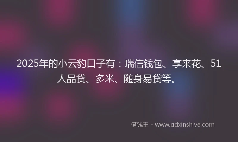 2025年的小云豹口子有：瑞信钱包、享来花、51人品贷、多米、随身易贷等。