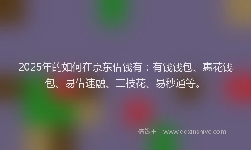 2025年的如何在京东借钱有：有钱钱包、惠花钱包、易借速融、三枝花、易秒通等。