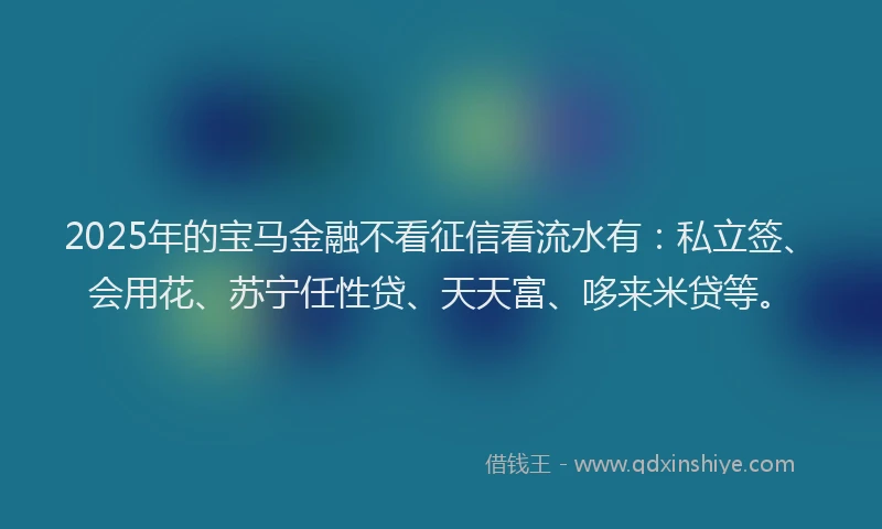 2025年的宝马金融不看征信看流水有：私立签、会用花、苏宁任性贷、天天富、哆来米贷等。