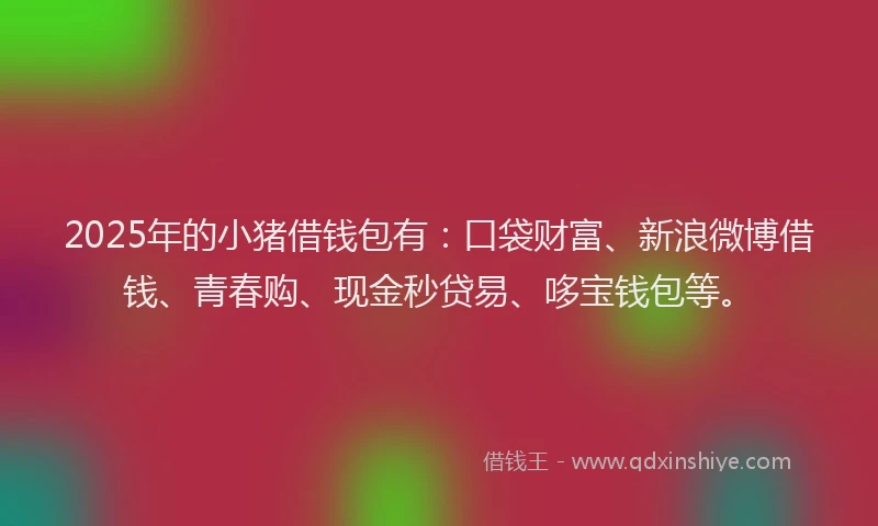 2025年的小猪借钱包有：口袋财富、新浪微博借钱、青春购、现金秒贷易、哆宝钱包等。
