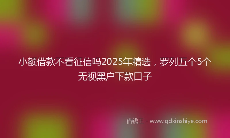 小额借款不看征信吗2025年精选，罗列五个5个无视黑户下款口子