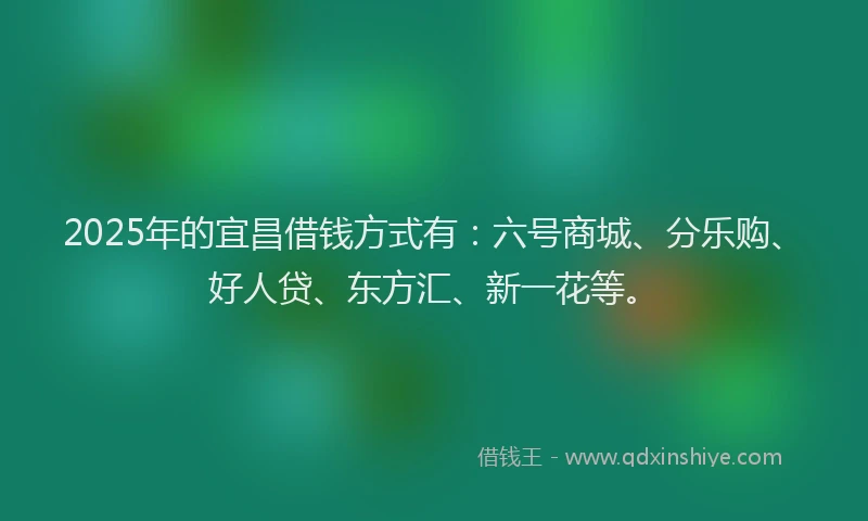 2025年的宜昌借钱方式有：六号商城、分乐购、好人贷、东方汇、新一花等。