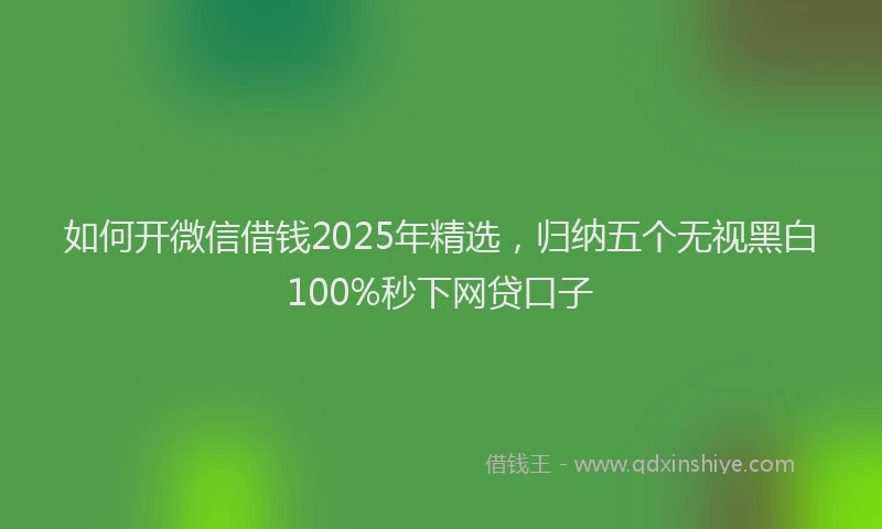 如何开微信借钱2025年精选，归纳五个无视黑白100%秒下网贷口子