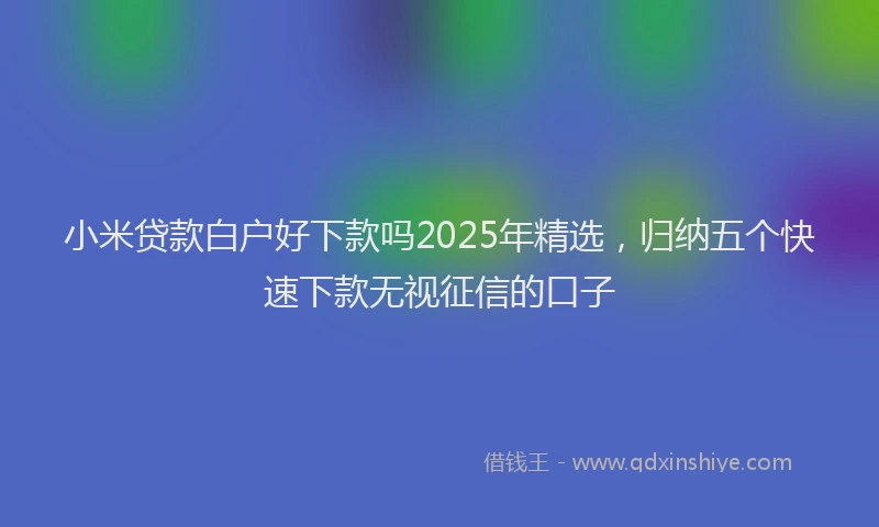 小米贷款白户好下款吗2025年精选，归纳五个快速下款无视征信的口子