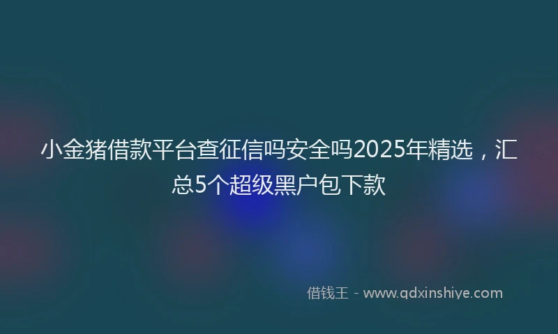 小金猪借款平台查征信吗安全吗2025年精选，汇总5个超级黑户包下款