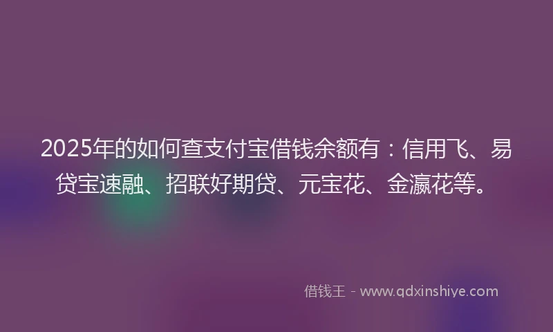 2025年的如何查支付宝借钱余额有：信用飞、易贷宝速融、招联好期贷、元宝花、金瀛花等。