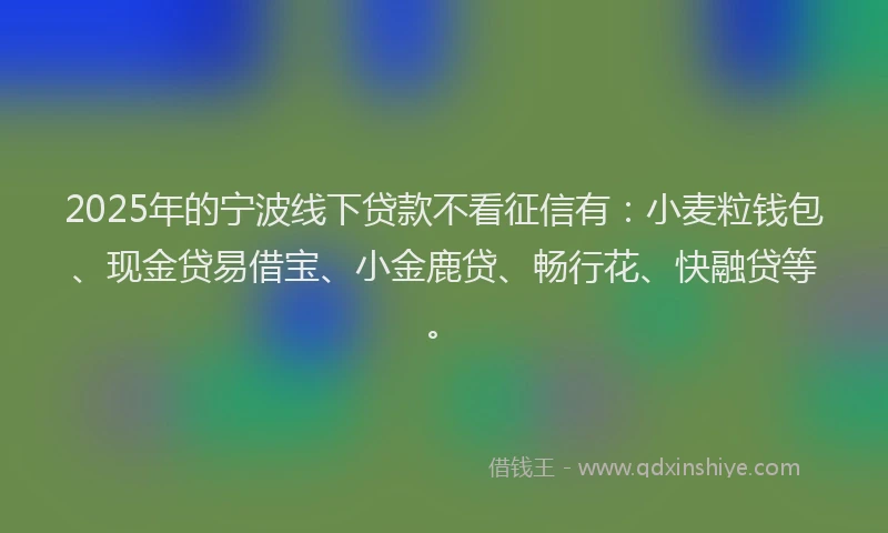 2025年的宁波线下贷款不看征信有：小麦粒钱包、现金贷易借宝、小金鹿贷、畅行花、快融贷等。