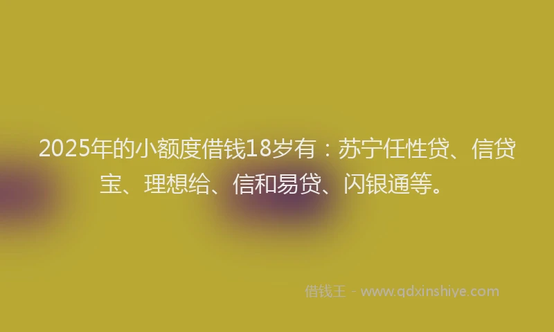 2025年的小额度借钱18岁有：苏宁任性贷、信贷宝、理想给、信和易贷、闪银通等。