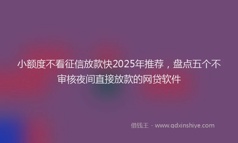 小额度不看征信放款快2025年推荐，盘点五个不审核夜间直接放款的网贷软件