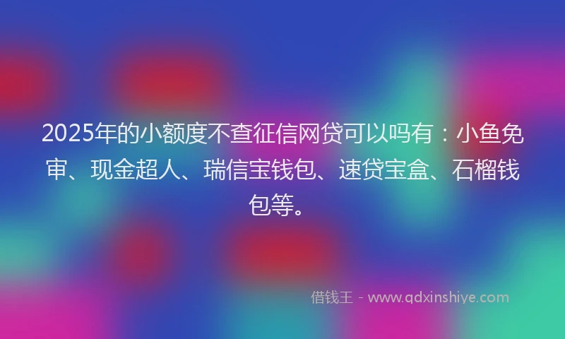 2025年的小额度不查征信网贷可以吗有：小鱼免审、现金超人、瑞信宝钱包、速贷宝盒、石榴钱包等。
